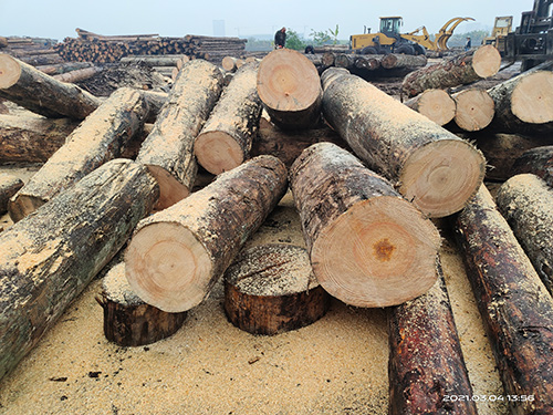 家居改造如何選購適合的木方材料？